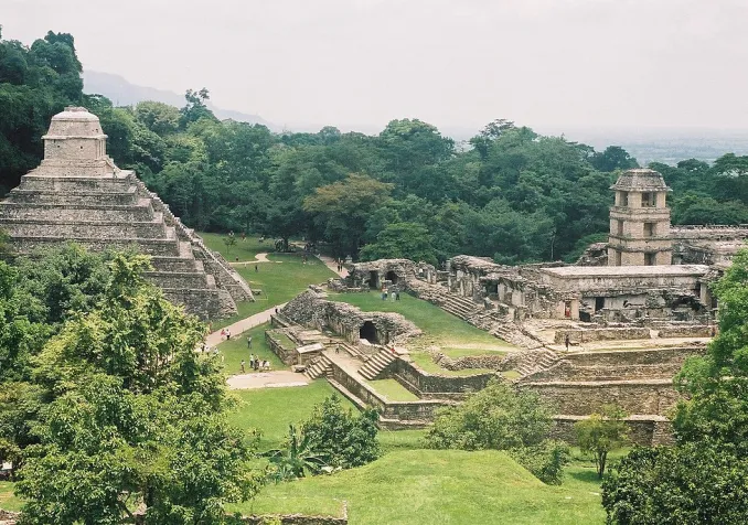 ©Biologo Jorge Ayala, CC BY-SA 4.0 Wikimedia Commons