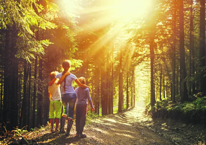 ©istock Une femme et deux enfants en forêt regardent le soleil qui perce à travers les arbres