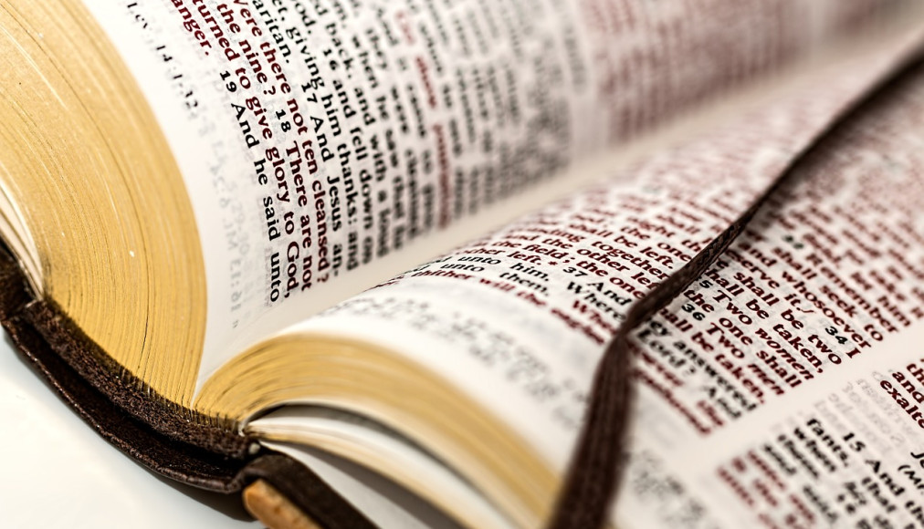 Sept paroles qui en disent long Sept paroles qui en disent long / Bible