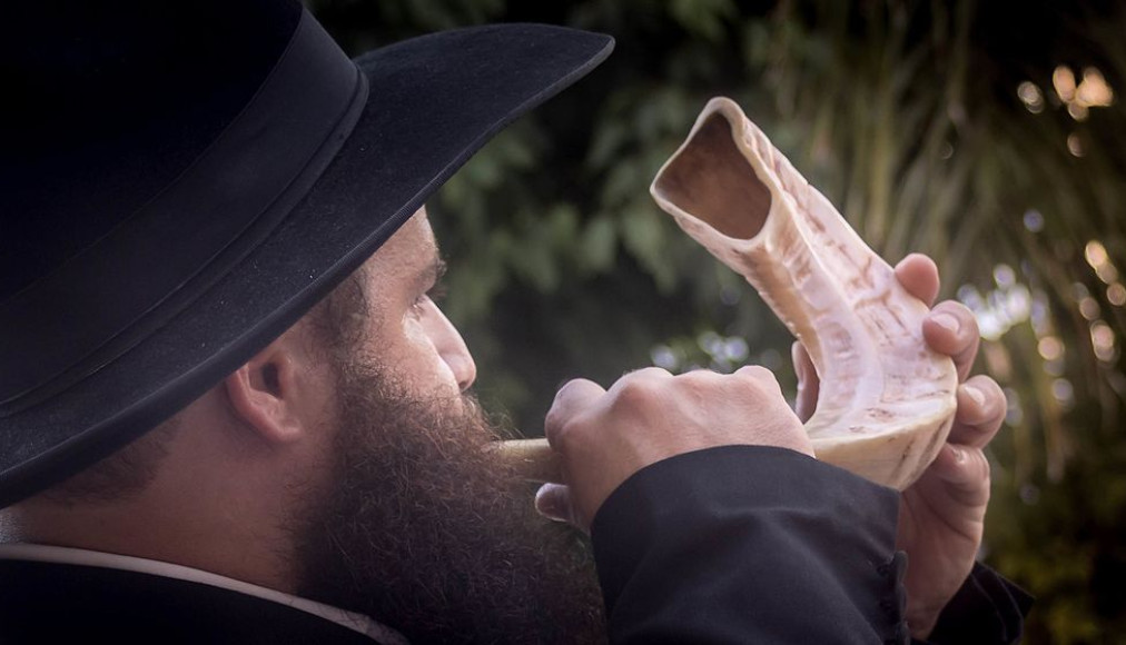 Le shofar, traditionnellement utilisé pour les grandes fêtes juives Le shofar, traditionnellement utilisé pour les grandes fêtes juives / ©Wikimedia Commons/MinoZig/CC BY-SA 4.0