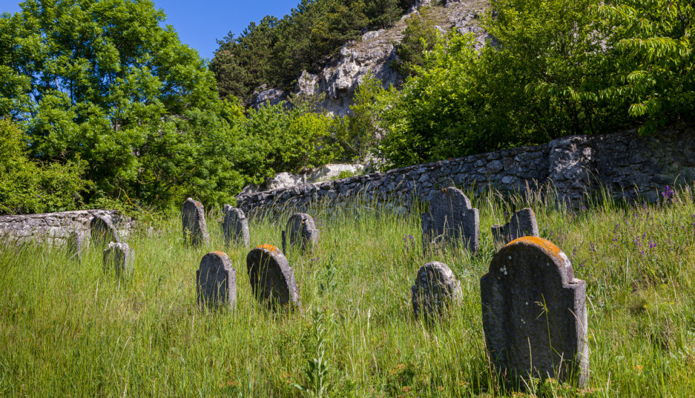 Très vieux cimetière juif abandonné près du village de Trstin, en Slovaquie. / IStock