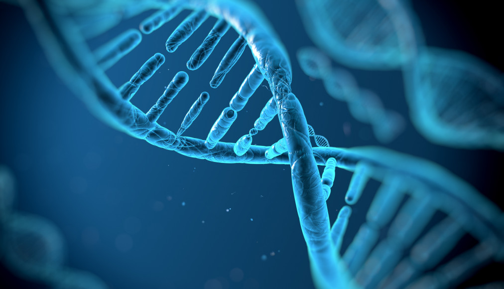 iStock/Svisio / Une molécule d&#039;ADN.