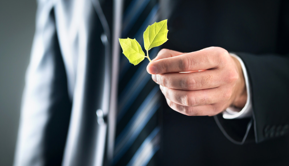 Les politiciens suisses s'engagent-ils autant pour l'écologie qu'ils le proclament? Le site Ecorating.ch permet de vérifier leur engagement. Les politiciens suisses s'engagent-ils autant pour l'écologie qu'ils le proclament? Le site Ecorating.ch permet de vérifier leur engagement. / IStock
