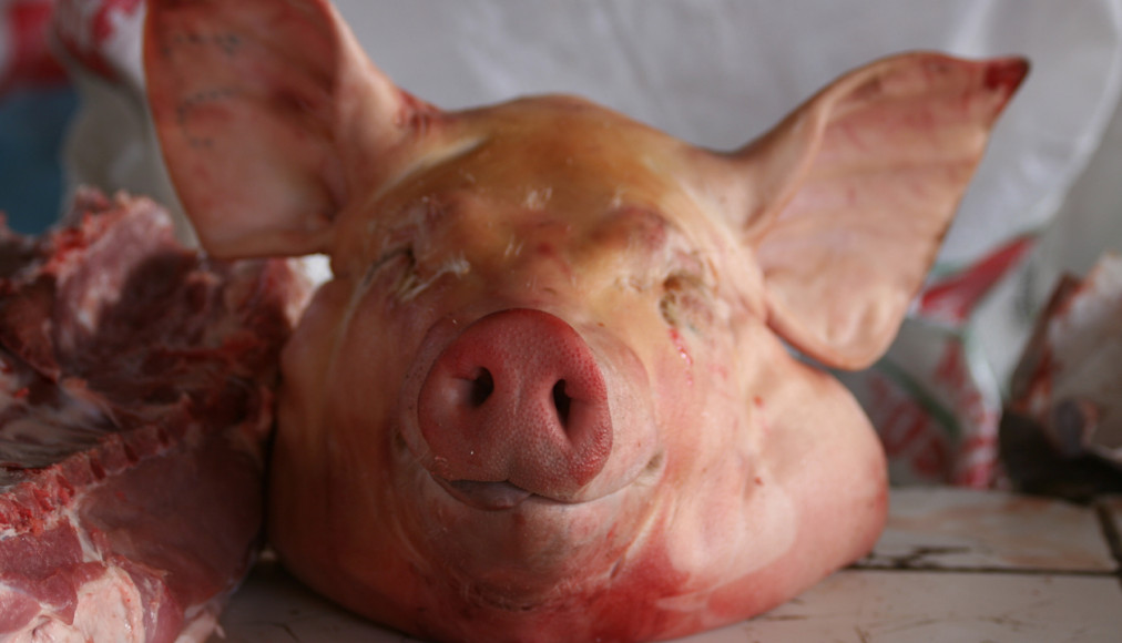 Image d'illustration Image d'illustration / Istock