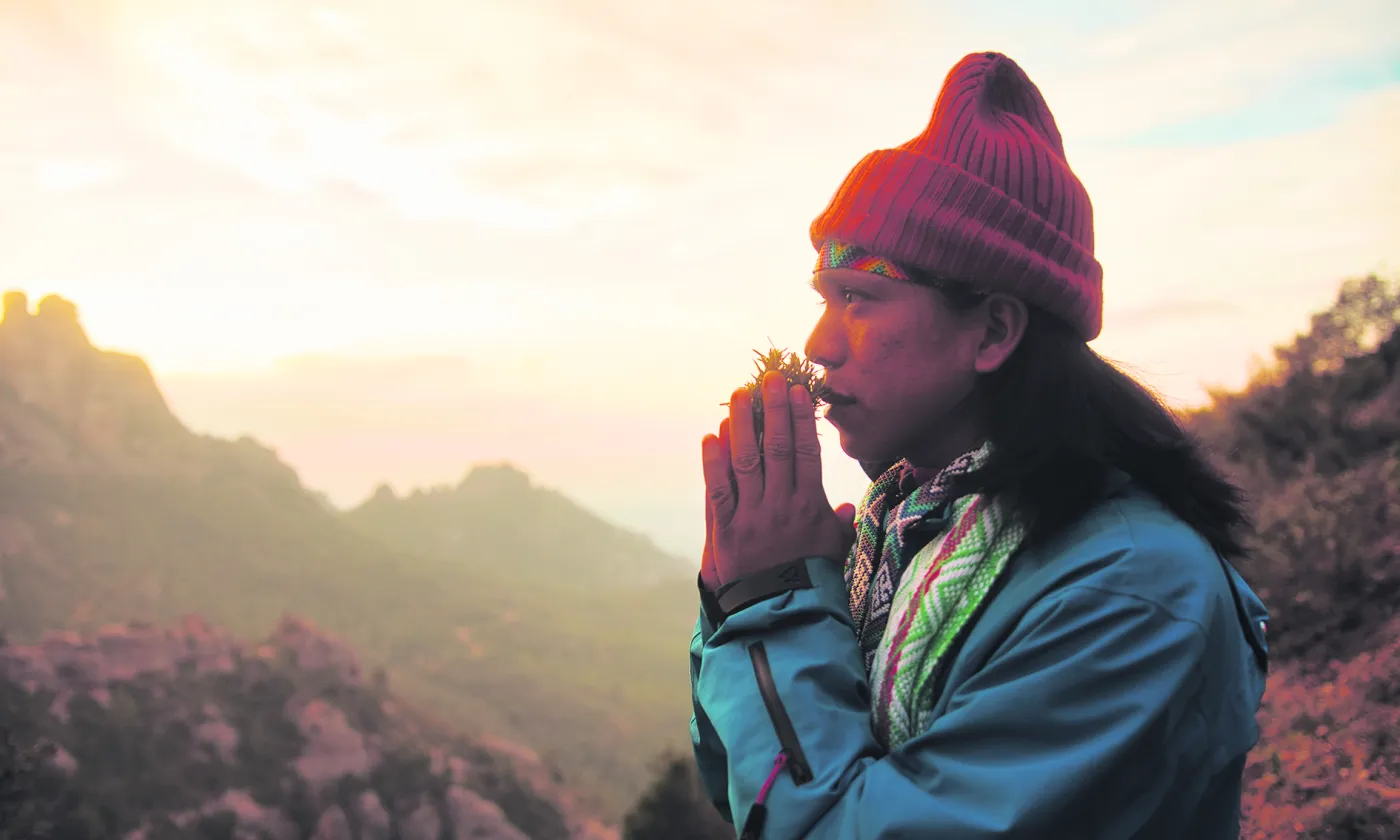 ©iFloresta TV - Guilherme Meneghelli