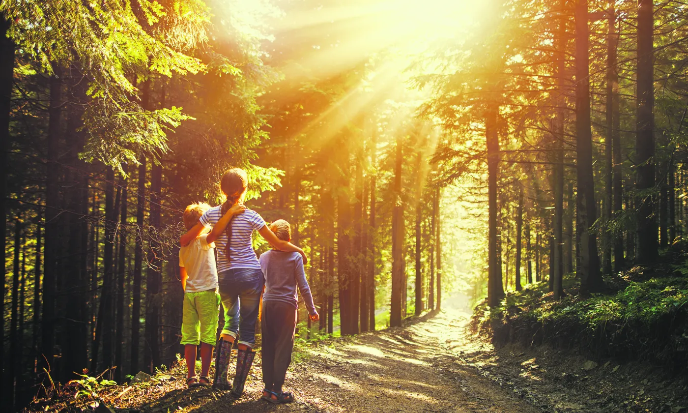 Une femme et deux enfants en forêt regardent le soleil qui perce à travers les arbres