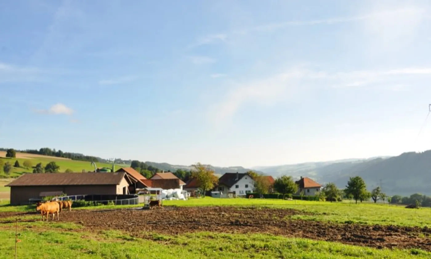 Alexandra Urfer Jungen