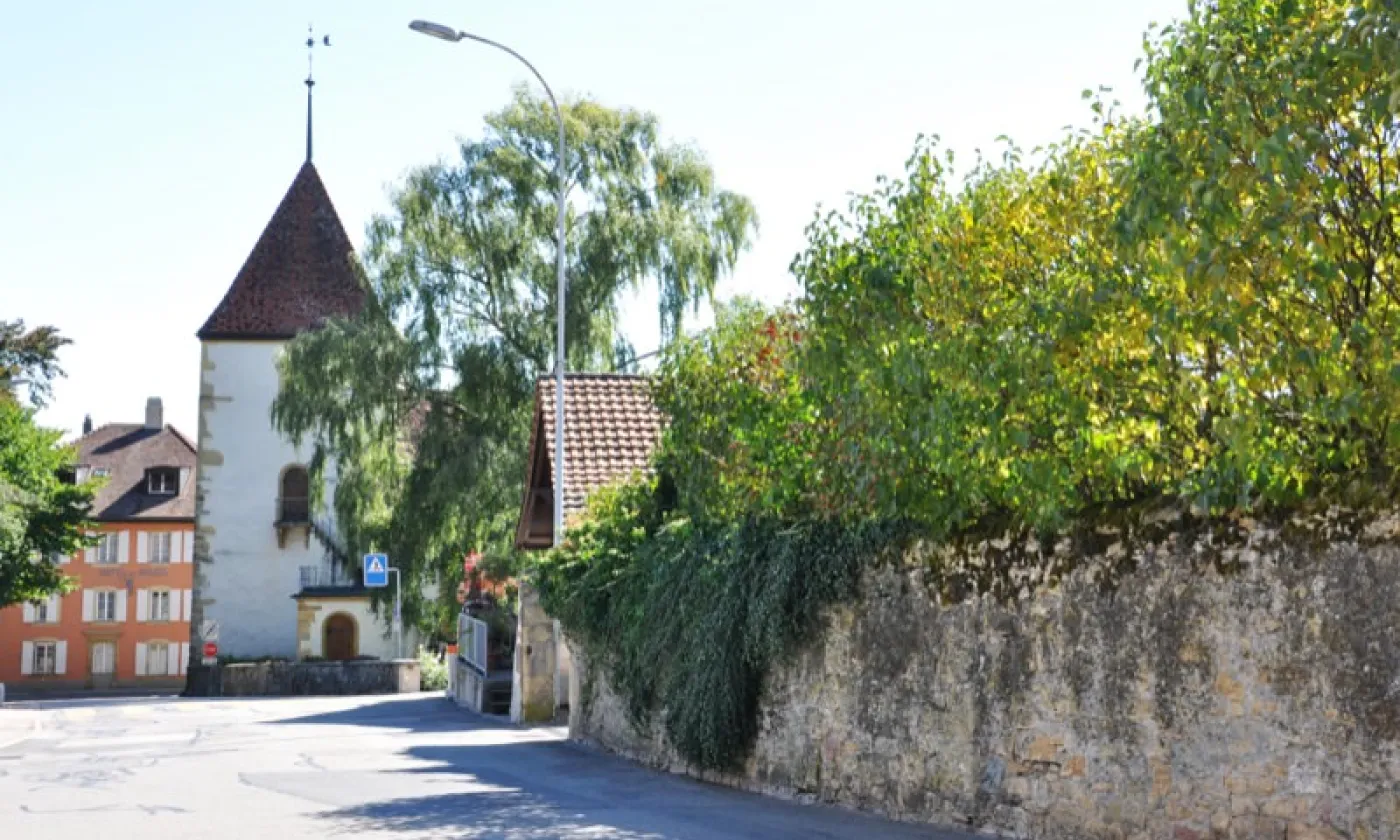 Alexandra Urfer Jungen