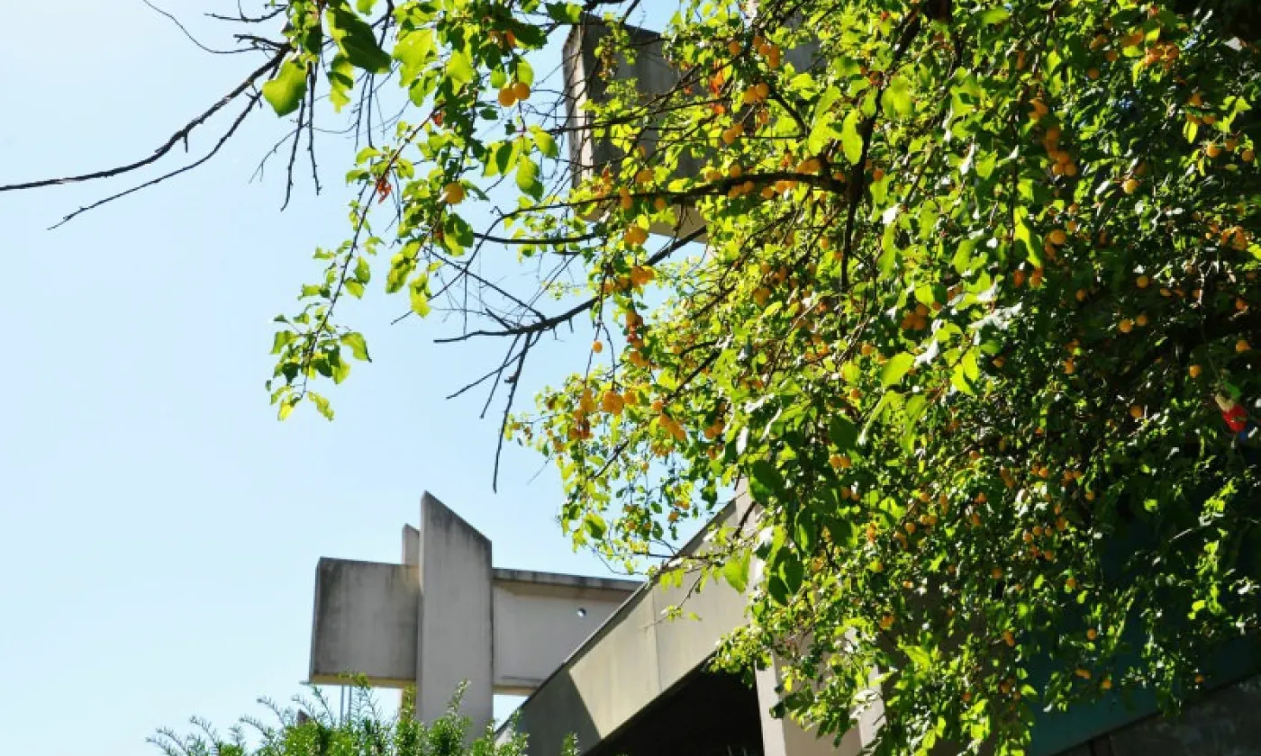 Alexandra Urfer Jungen