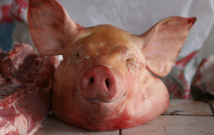 Image d&#039;illustration / Istock